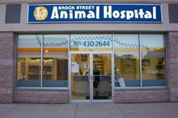 Brock Street Animal Hospital