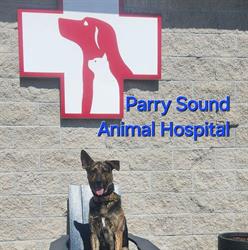 Parry Sound Animal Hospital