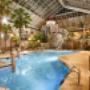 Indoor Tropical Atrium Oasis Indoor Tropical Atrium Oasis