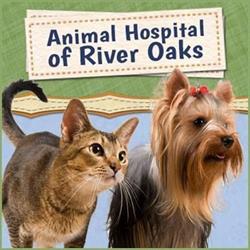 Animal Hospital of River Oaks