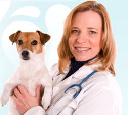 Millcreek Veterinary Clinic
