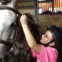 Students learn horsemanship and how to tack up as part of our lesson program. Students learn horsemanship and how to tack up as part of our lesson program.