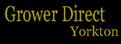 Grower Direct Fresh Cut Flowers