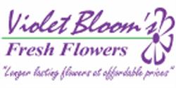 Violet Bloom's Fresh Flowers Inc