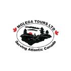 Molega Tours Ltd