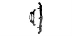 Breadner Veterinary Services Ltd
