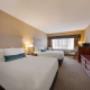 2 Queen Beds 2 Queen Beds