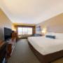 King Room with Sofa Bed King Room with Sofa Bed
