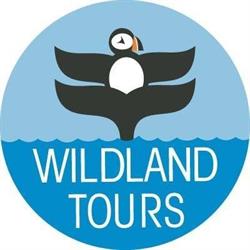 Wildland Tours & Convention Services