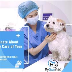 Mississauga Veterinary Spay-Neuter Clinic