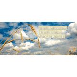 St Paul Municipal Seed Cleaning Association Ltd