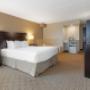 King Bed with Jetted Tub (Luxury & Pool View) King Bed with Jetted Tub (Luxury & Pool View)