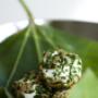 Kindred Spirits Catering And Event Planning Kindred Spirits Catering And Event Planning