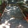 Photo Photo