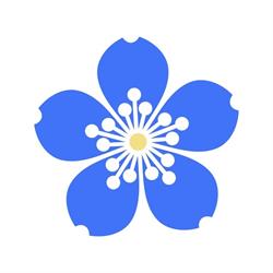 Maison Multiethnique Myosotis