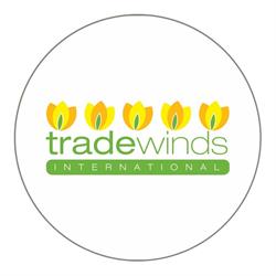 Tradewinds International Sales