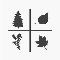 Highland Evergreen Supply Ltd.