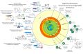 Digital Transformation (SASE)