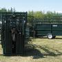 Chargé par visiteur le 2016-05-19 - Outstanding Cattle Handling equipment from Hi-Hog Chargé par visiteur le 2016-05-19 - Outstanding Cattle Handling equipment from Hi-Hog