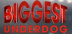 N.e. Hagedorn & Sons Limited