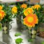 Flowers in the design room at Ital Florist. Flowers in the design room at Ital Florist.
