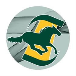 Saskatchewan Horse Federation