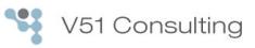 V51 Consulting Inc.