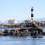 Sea Lions at Race Rocks Ecological Reserve, SpringTide Whale Watching, Victoria BC Sea Lions at Race Rocks Ecological Reserve, SpringTide Whale Watching, Victoria BC