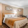 Guest room with queen bed Guest room with queen bed
