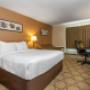Guest room with queen bed(s) Guest room with queen bed(s)
