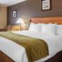Guest room with one bed Guest room with one bed