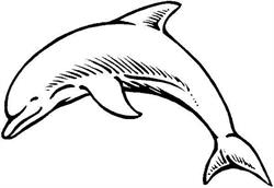Dauphin Bar