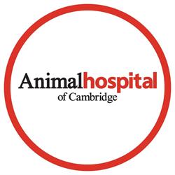Animal Hospital of Cambridge