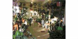 Fleuriste A Fleurs Ouvert