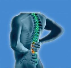 St Anne's Road Chiropractic Office