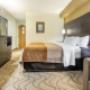 Spacious guest room Spacious guest room