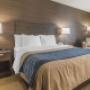 Guest room with one bed Guest room with one bed