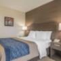 Guest room with one bed Guest room with one bed