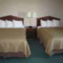 Guest room with double beds Guest room with double beds