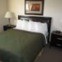 Queen suite Queen suite