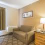 Guest room with sofa sleeper Guest room with sofa sleeper