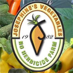 Dinosaur Valley Mini Golf & Josephine's Vegetables