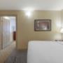 single queen room single queen room