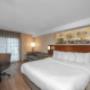 Guest room with king bed(s) Guest room with king bed(s)