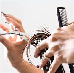 Coiffure 288 Coiff