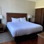 king suite king suite