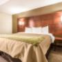 Spacious guest room Spacious guest room