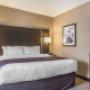 Family suite Family suite