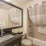 Bathroom in guest room Bathroom in guest room