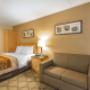 Guest room with sofa sleeper Guest room with sofa sleeper